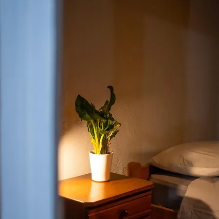 Casa Pinheiro Pinheiro de Coja