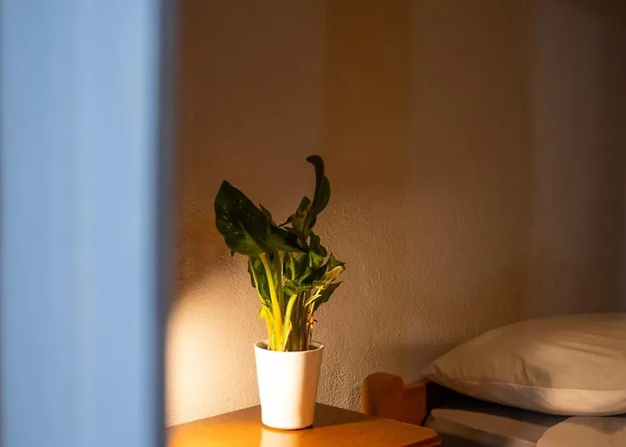 Casa Pinheiro Pinheiro de Coja